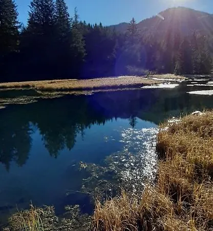 Zirbenhuette Appartement